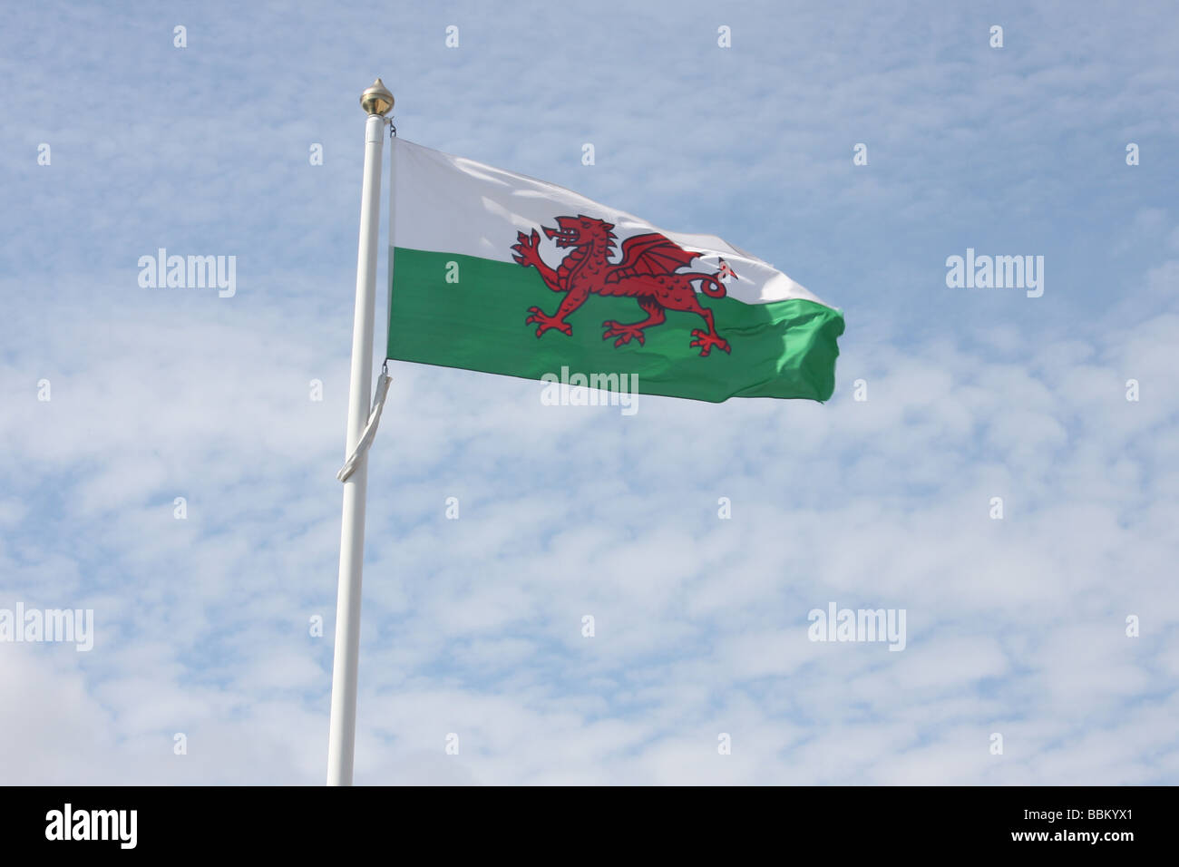 The Welsh national flag flying against a blue sky. Stock Photo