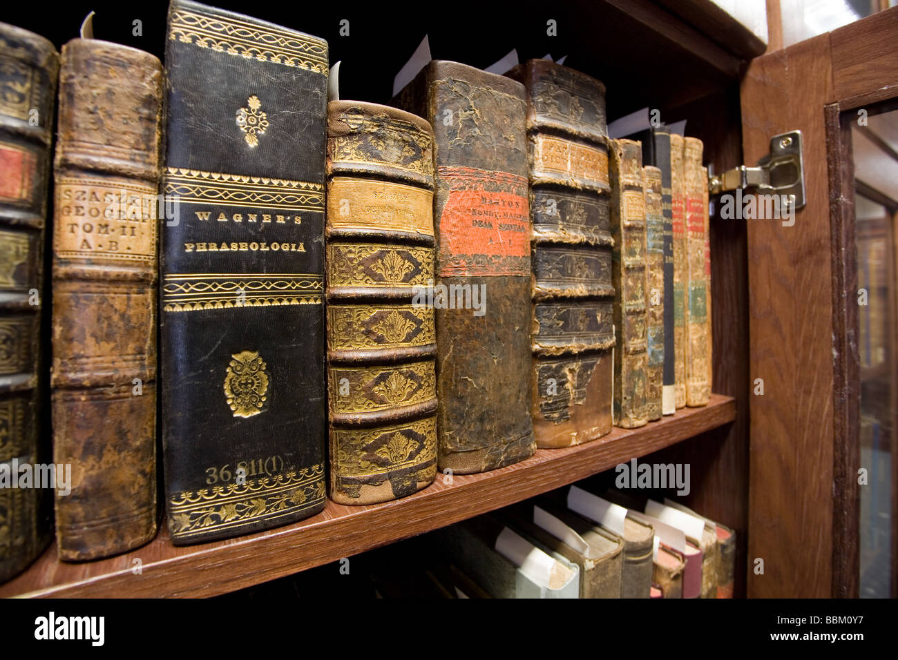 Старые книги сайт. Старинные книги. Коллекция старинных книг. Раритетные книжные издания. Корешки старинных книг.