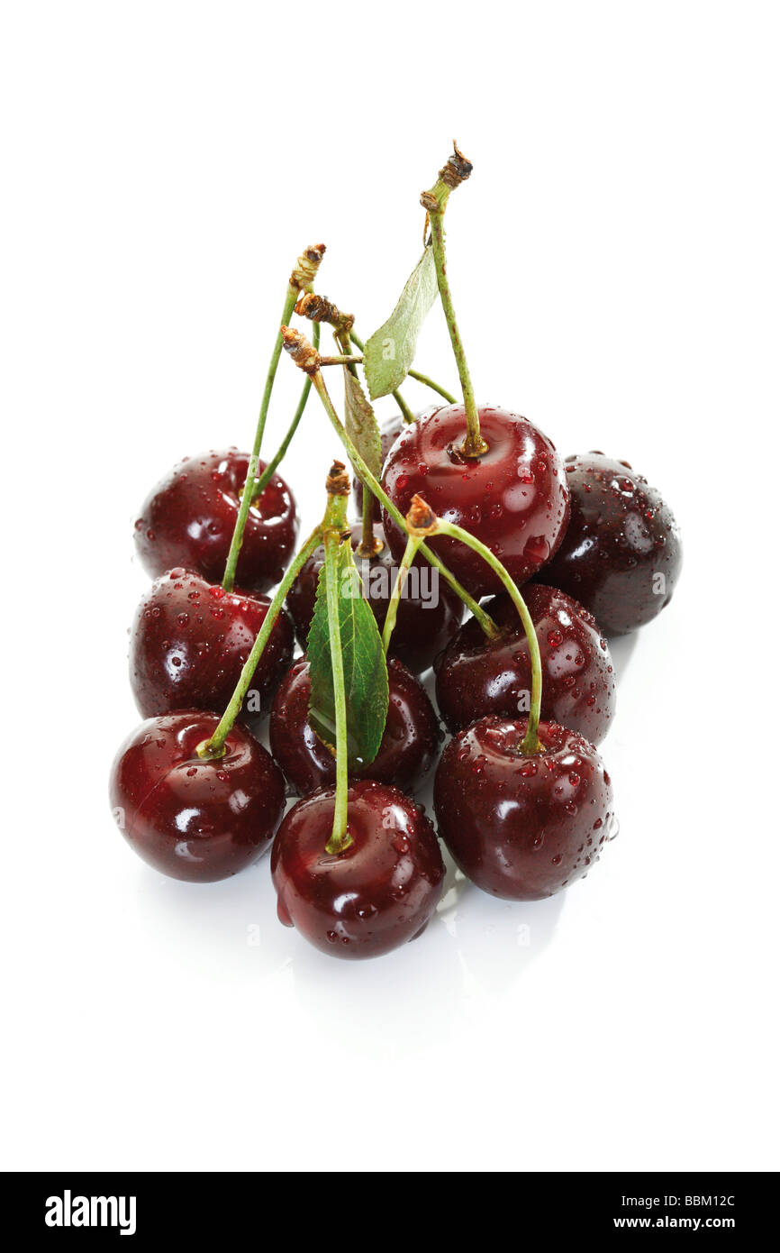 Sour cherries Stock Photo