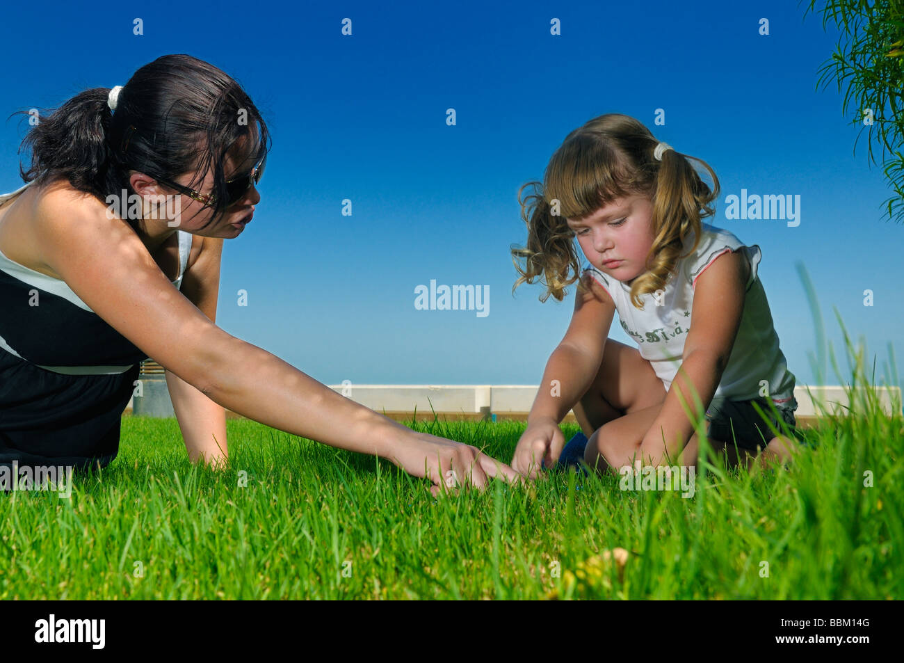 What is it,dear Stock Photo - Alamy