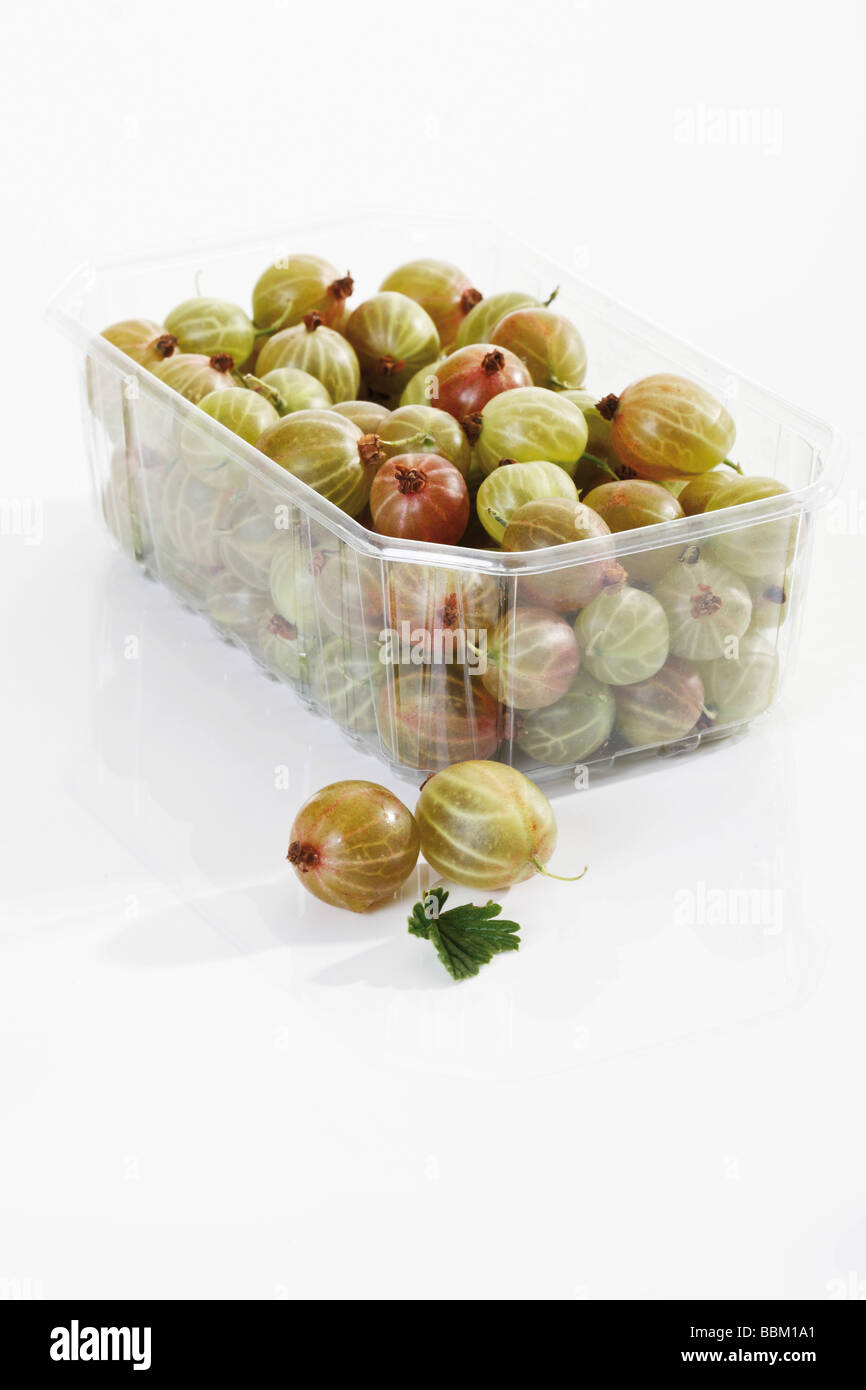 Gooseberries in a small plastic container Stock Photo