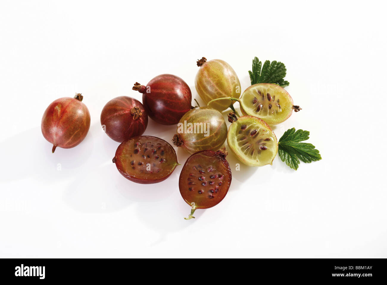 Gooseberries with small leaves Stock Photo