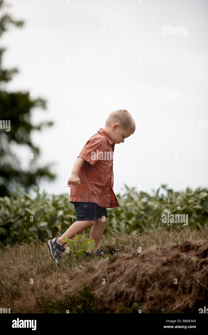 Boy running uphill in field, Ontario Stock Photo