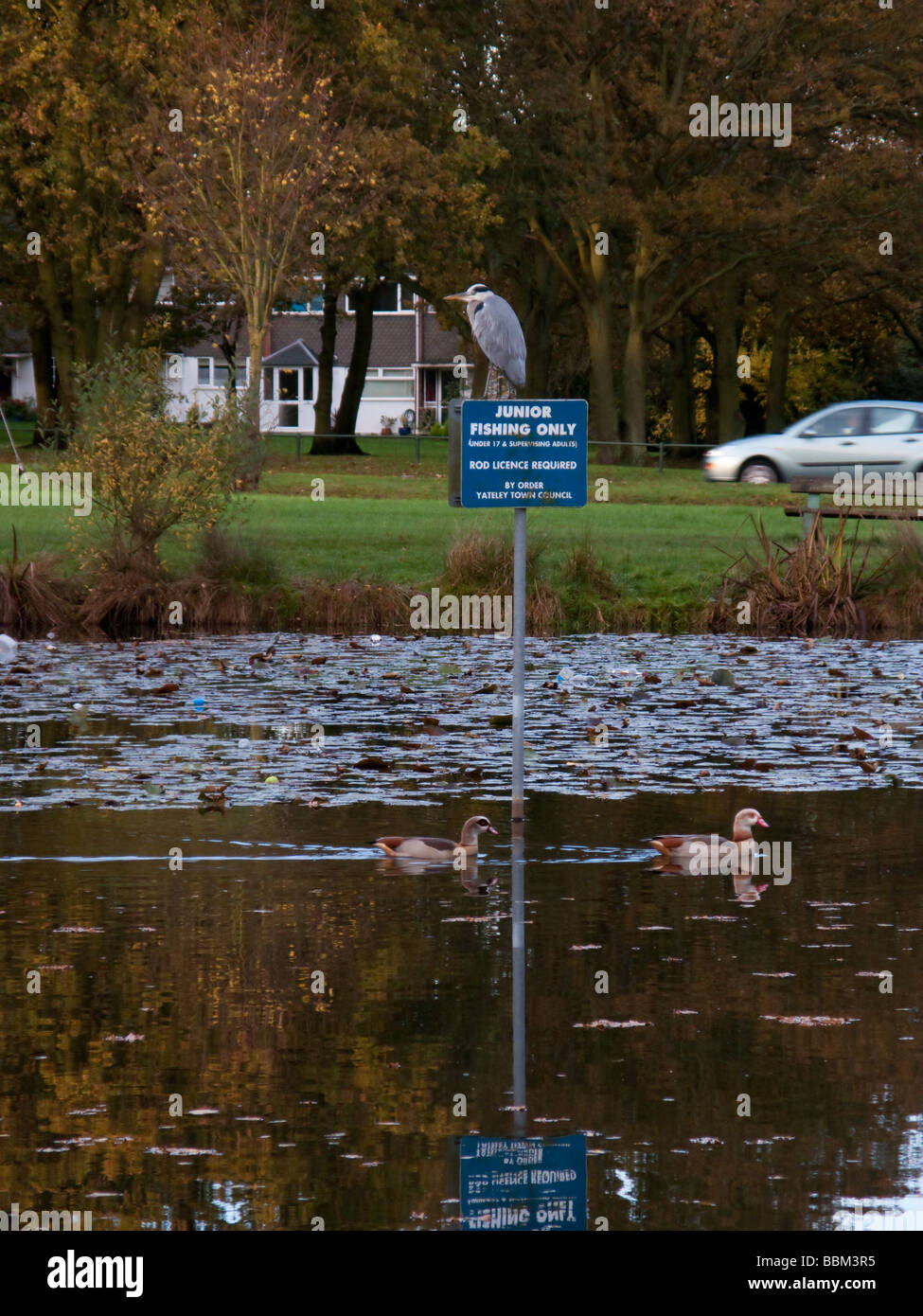 Yateley village hires stock photography and images Alamy