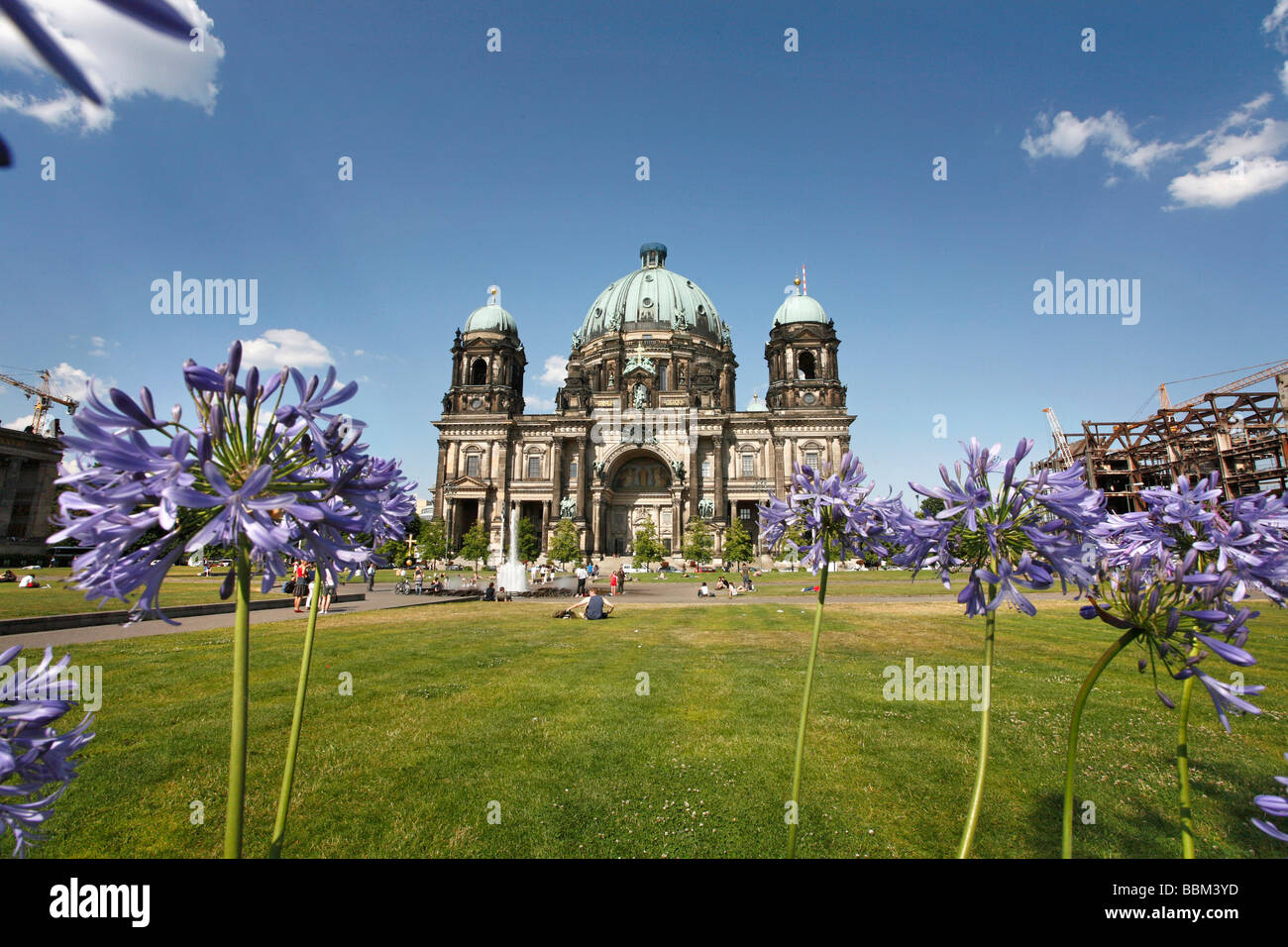 Flowers at the Berlin Cathedral, Berlin, Germany Stock Photo Alamy