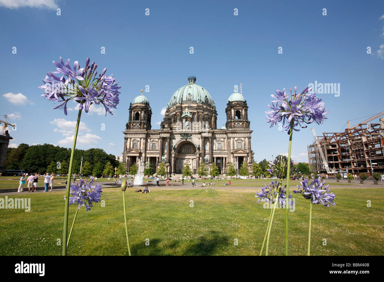 Flowers at the Berlin Cathedral, Berlin, Germany Stock Photo Alamy