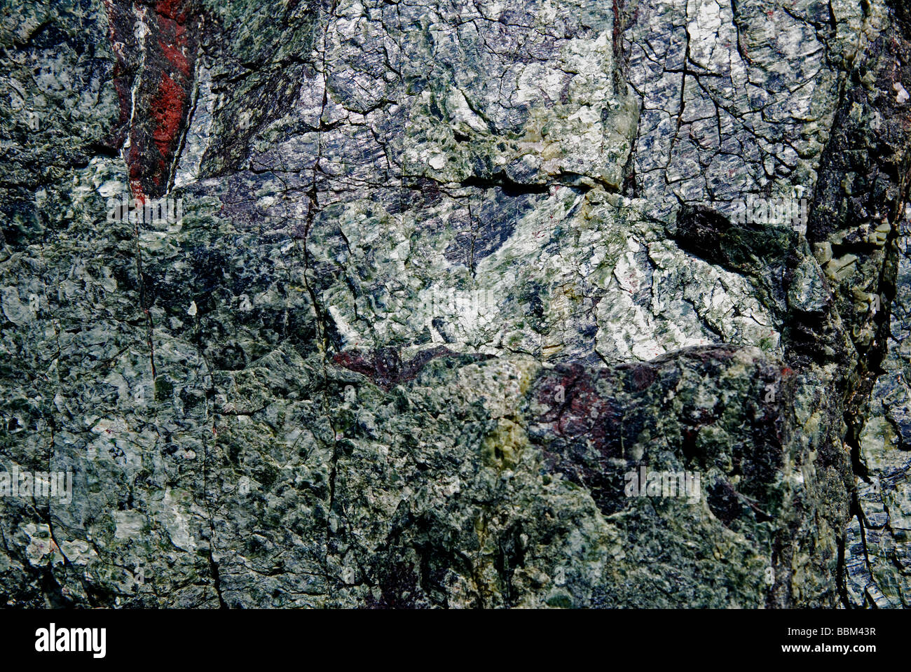 a close up of serpentine rock at kynance cove near lizard in cornwall,uk Stock Photo