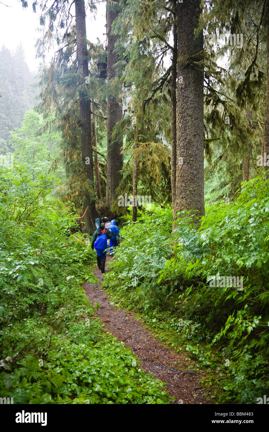 Forest at Pack Creek, Admiralty Island National Monument, Admiralty Island, Alaska, USA, North America Stock Photo