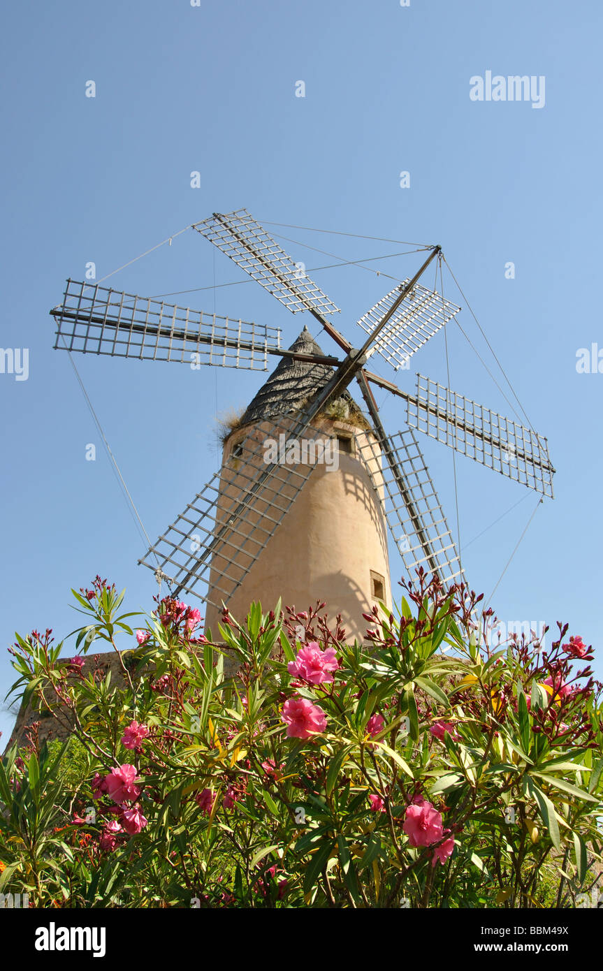 Old windmill, Santa Ponsa (Santa Ponca), Mallorca (Majorca), Balearic Islands, Spain Stock Photo