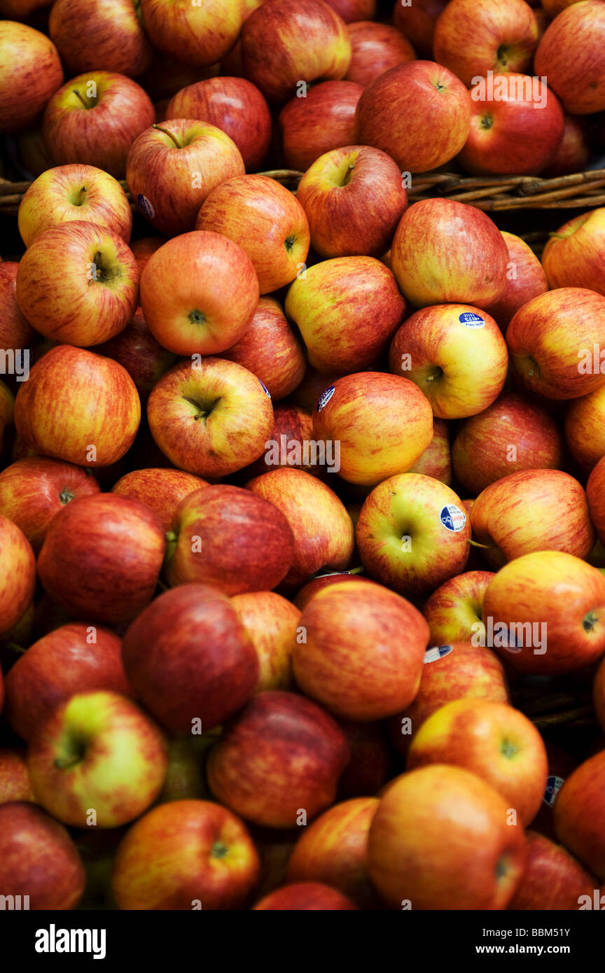 https://c8.alamy.com/comp/BBM51Y/royal-gala-apples-on-sale-BBM51Y.jpg
