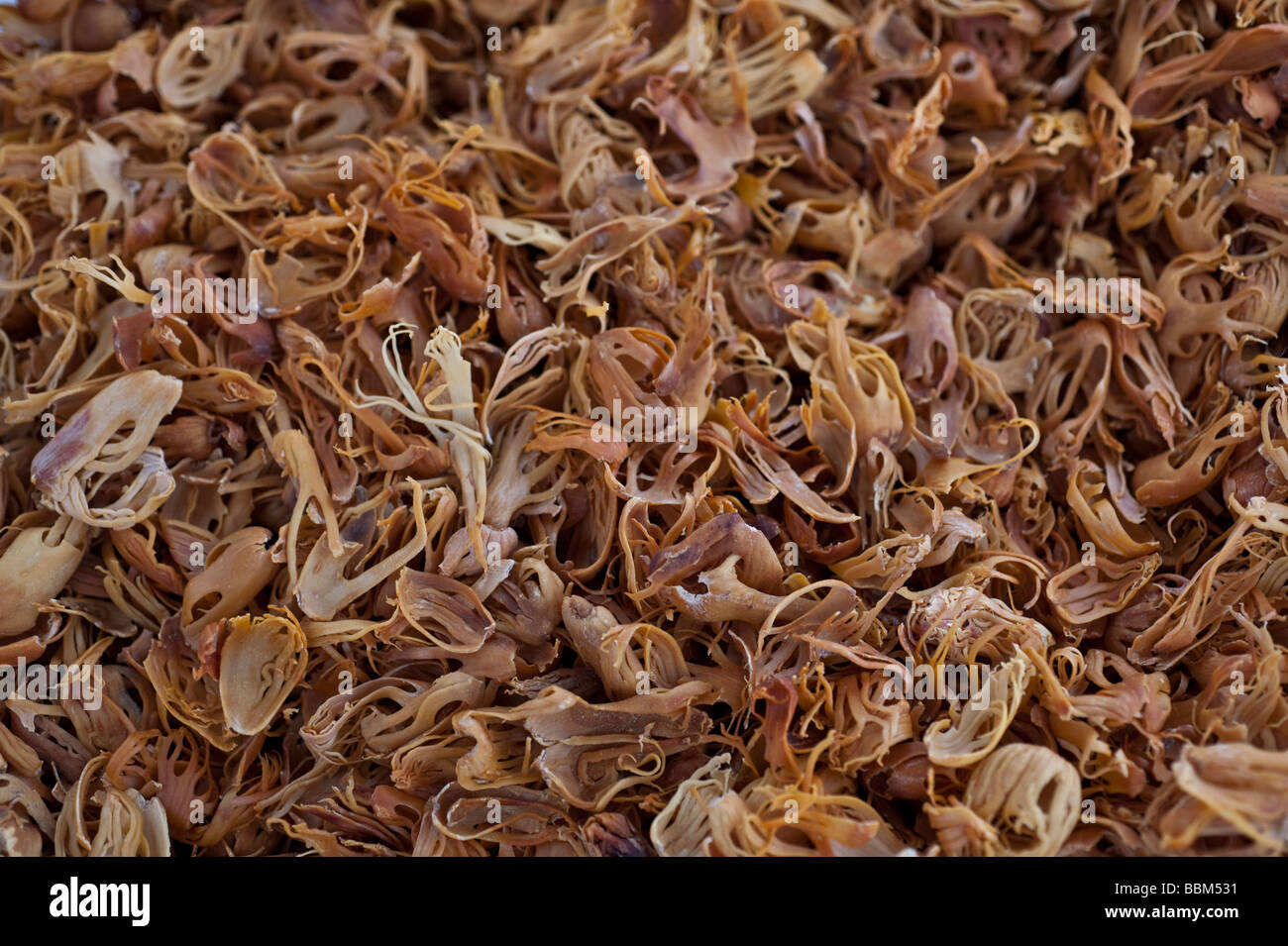Close up of blades of dried mace, the aril (lacy covering) of nutmeg seed shell Stock Photo