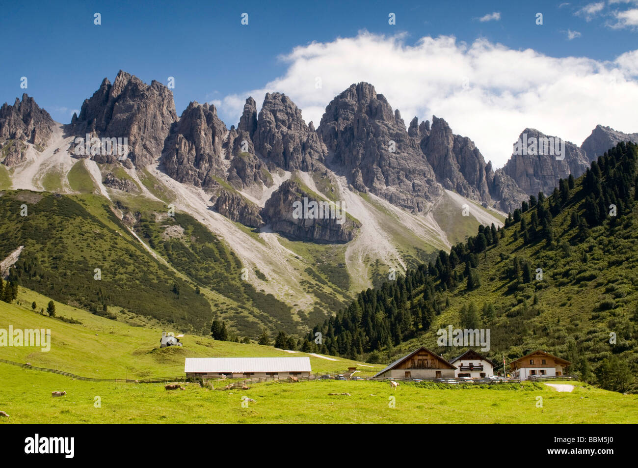Kematen alp, Mount Kalkkoegel at back, Axams, Tyrol, Austria, Europe Stock Photo