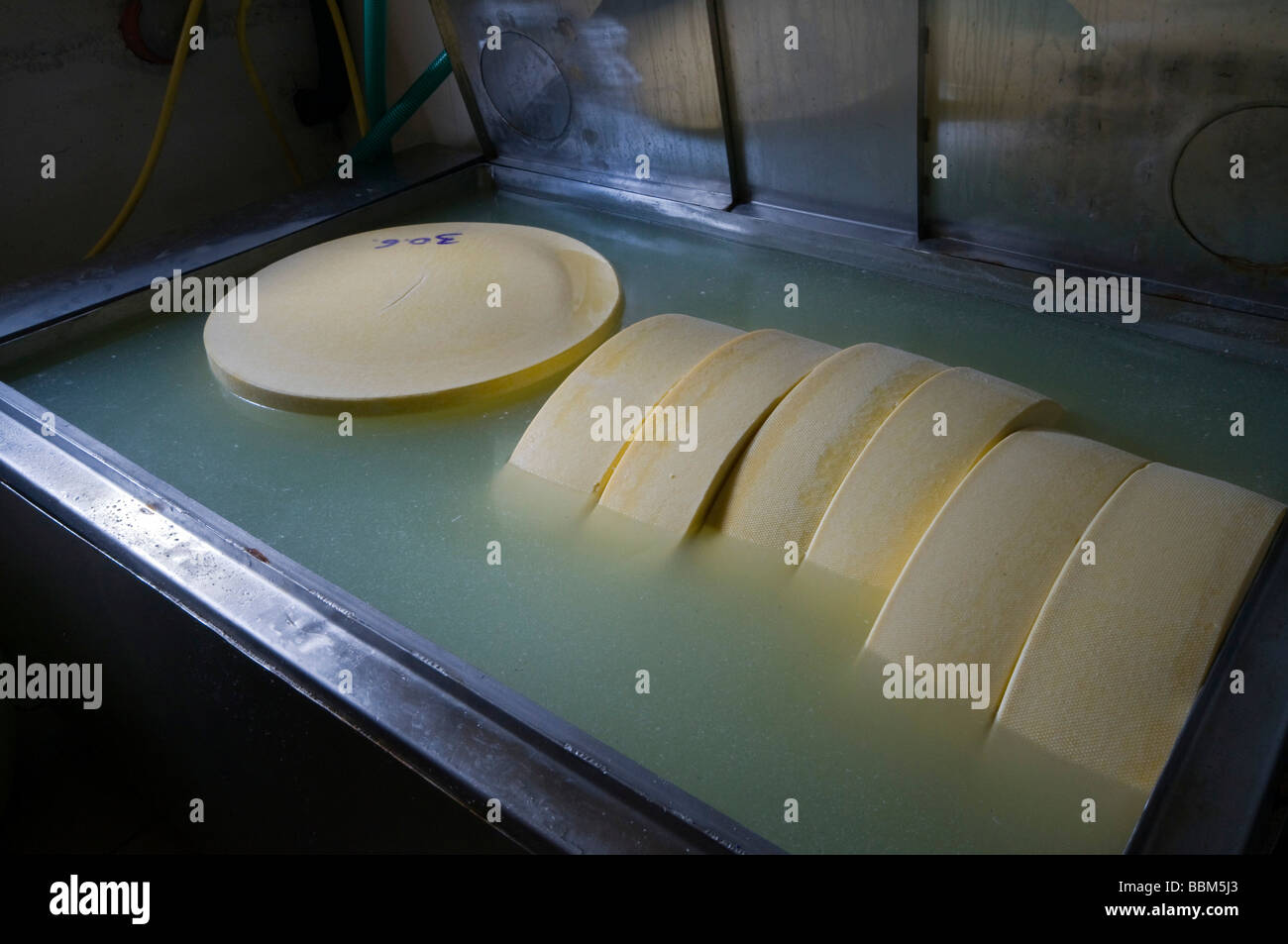 Alp cheese in a salt bath, Aussermelang alp, Wattental valley, Wattens, Tyrol, Austria, Europe Stock Photo