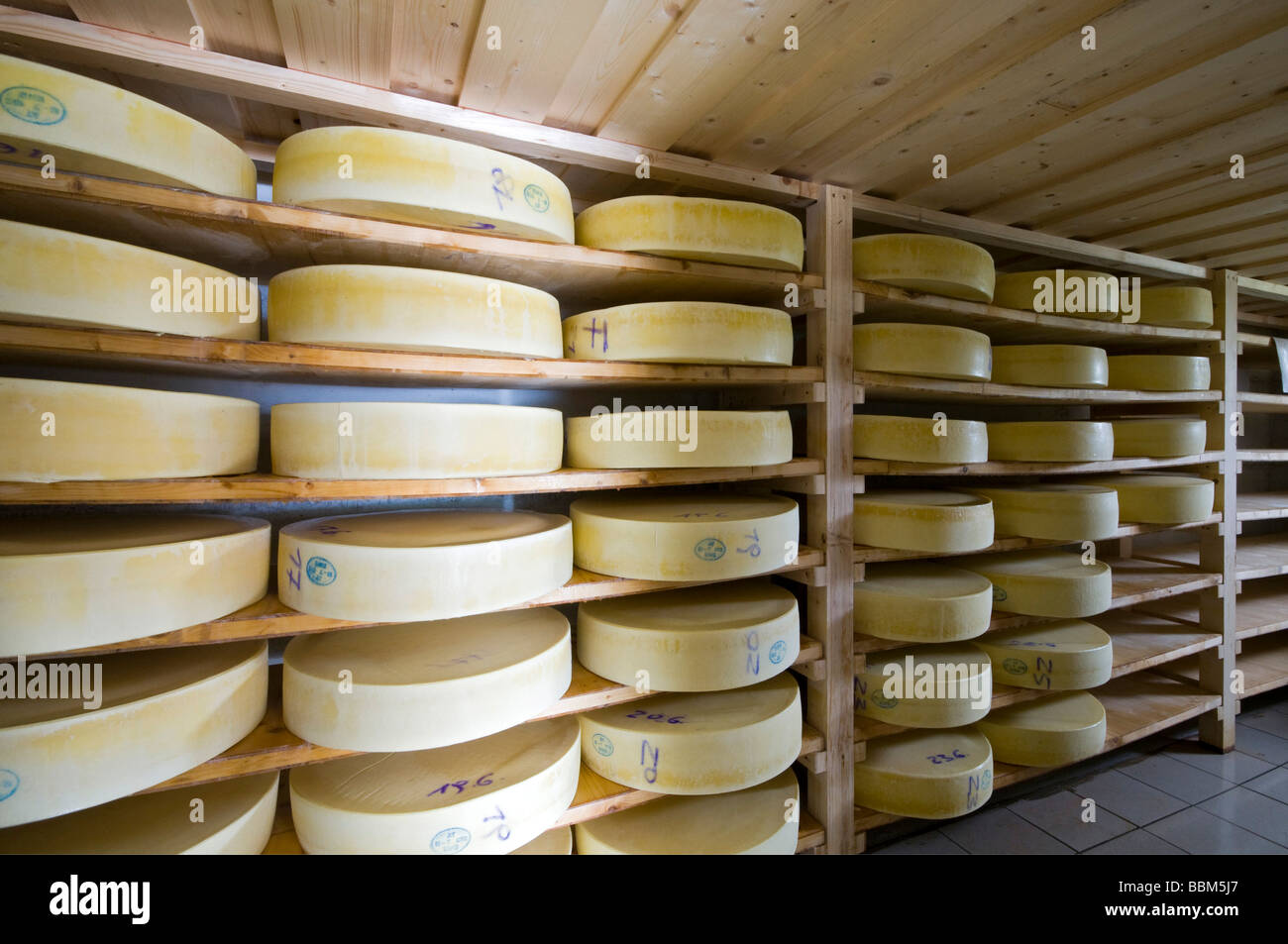 Cheese cellar, Aussermelang alp, Wattental valley, Wattens, Tyrol, Austria, Europe Stock Photo