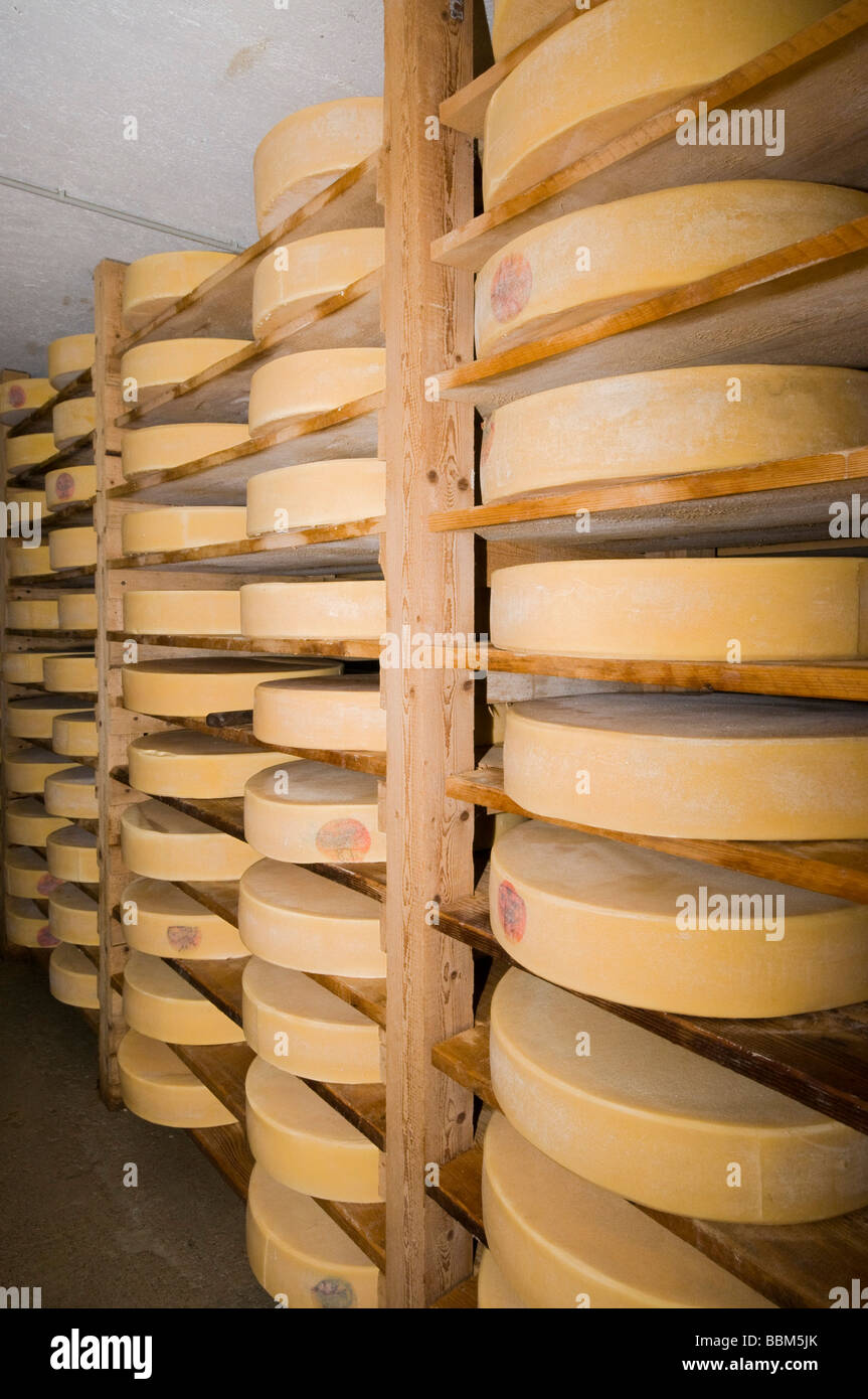 Cheese cellar, Stoankasern alp, Hintertux, Zillertal valley, Tyrol, Austria, Europe Stock Photo