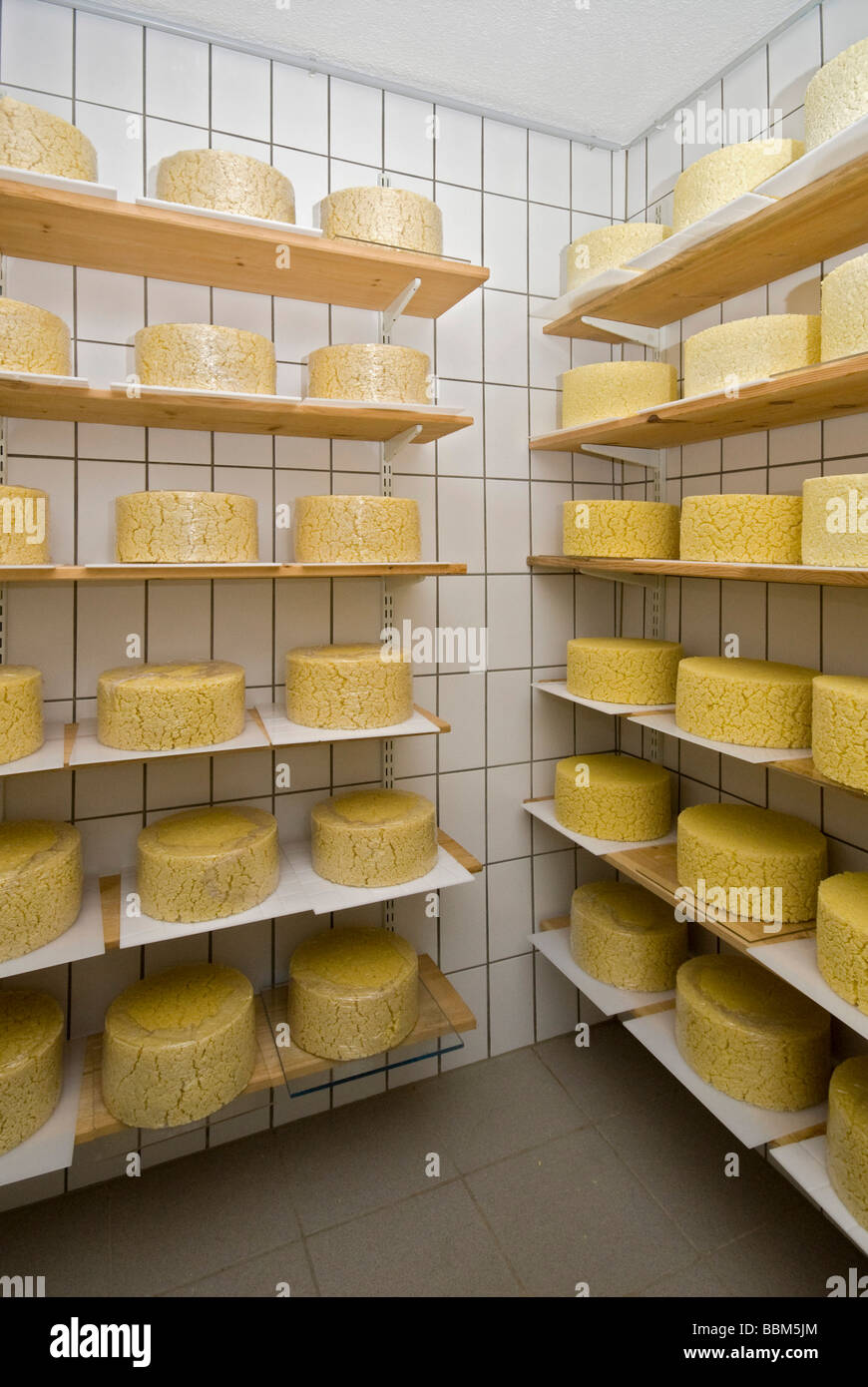 Cheese cellar, Maldon alp, Hahntennjoch, Imst, Tyrol, Austria, Europe Stock Photo