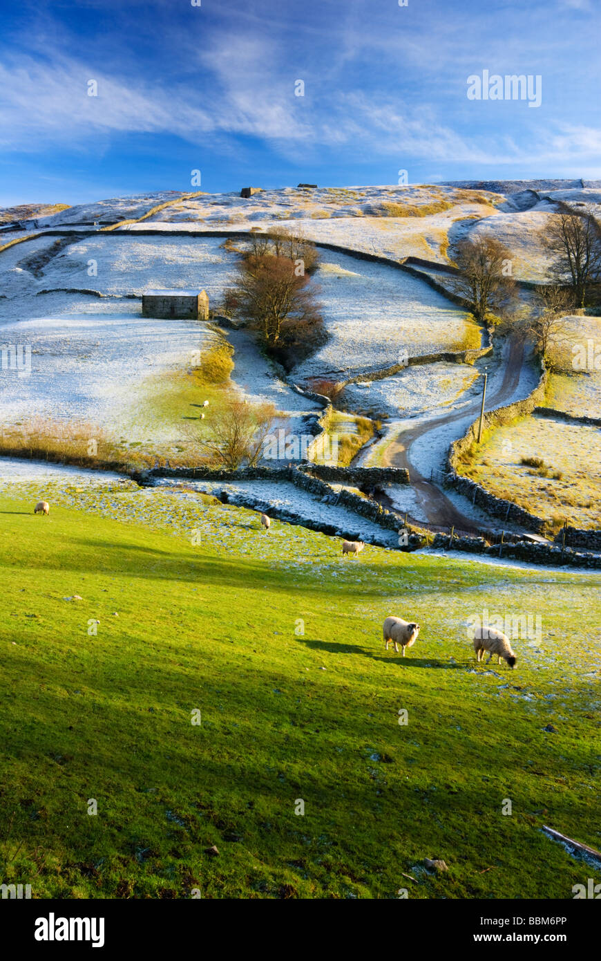 Iconic Swaledale Barn with winter hard frost and blue skies national park England GB UK EU Europe Stock Photo