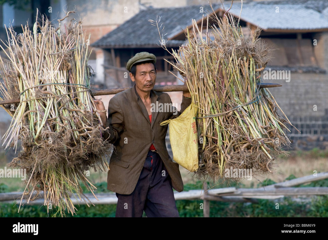 China Peasants Stock Photos & China Peasants Stock Images Alamy