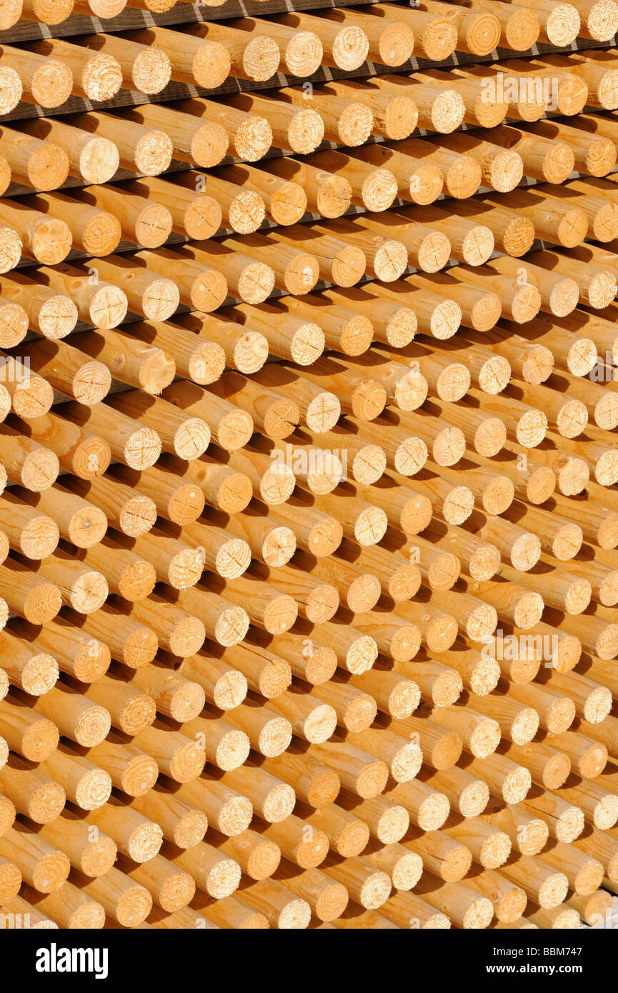 Rungs, wood stack, wooden staffs, roundwood Stock Photo