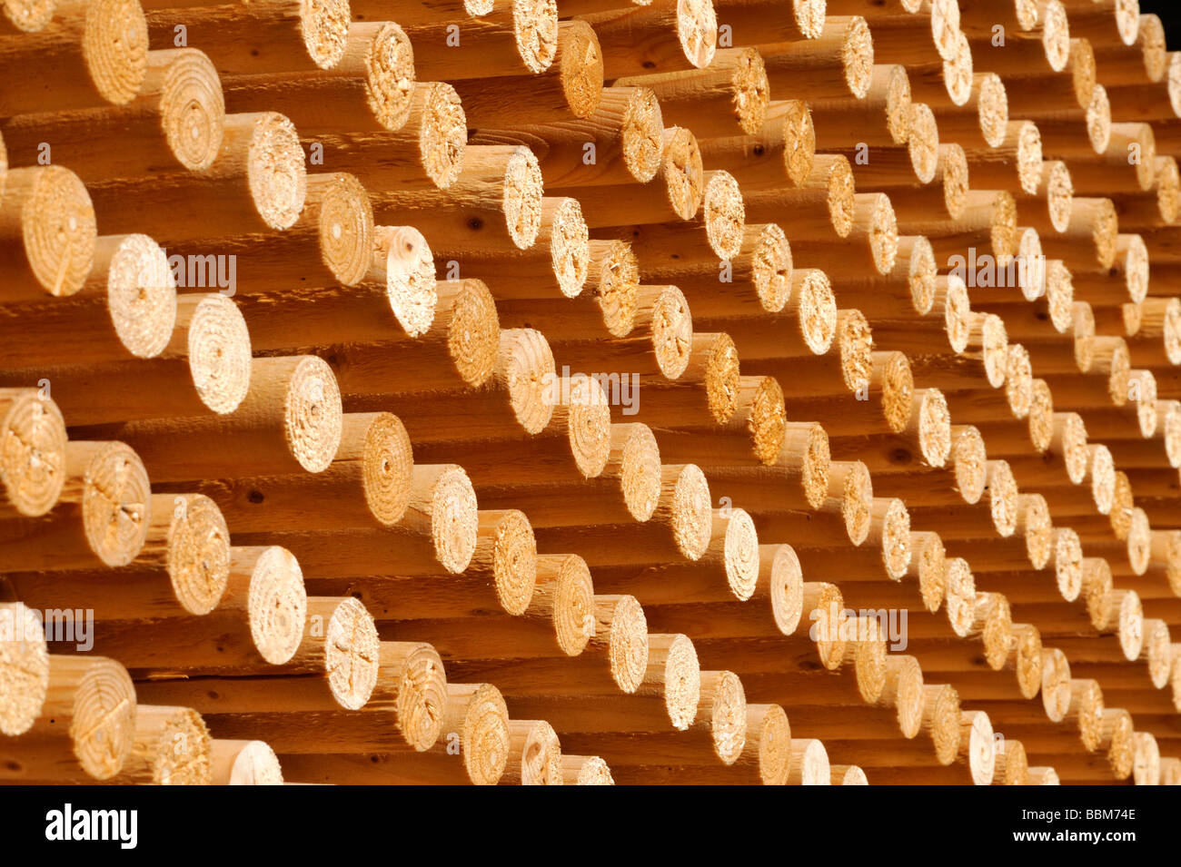 Rungs, roundwood, wood stack, wooden staffs Stock Photo