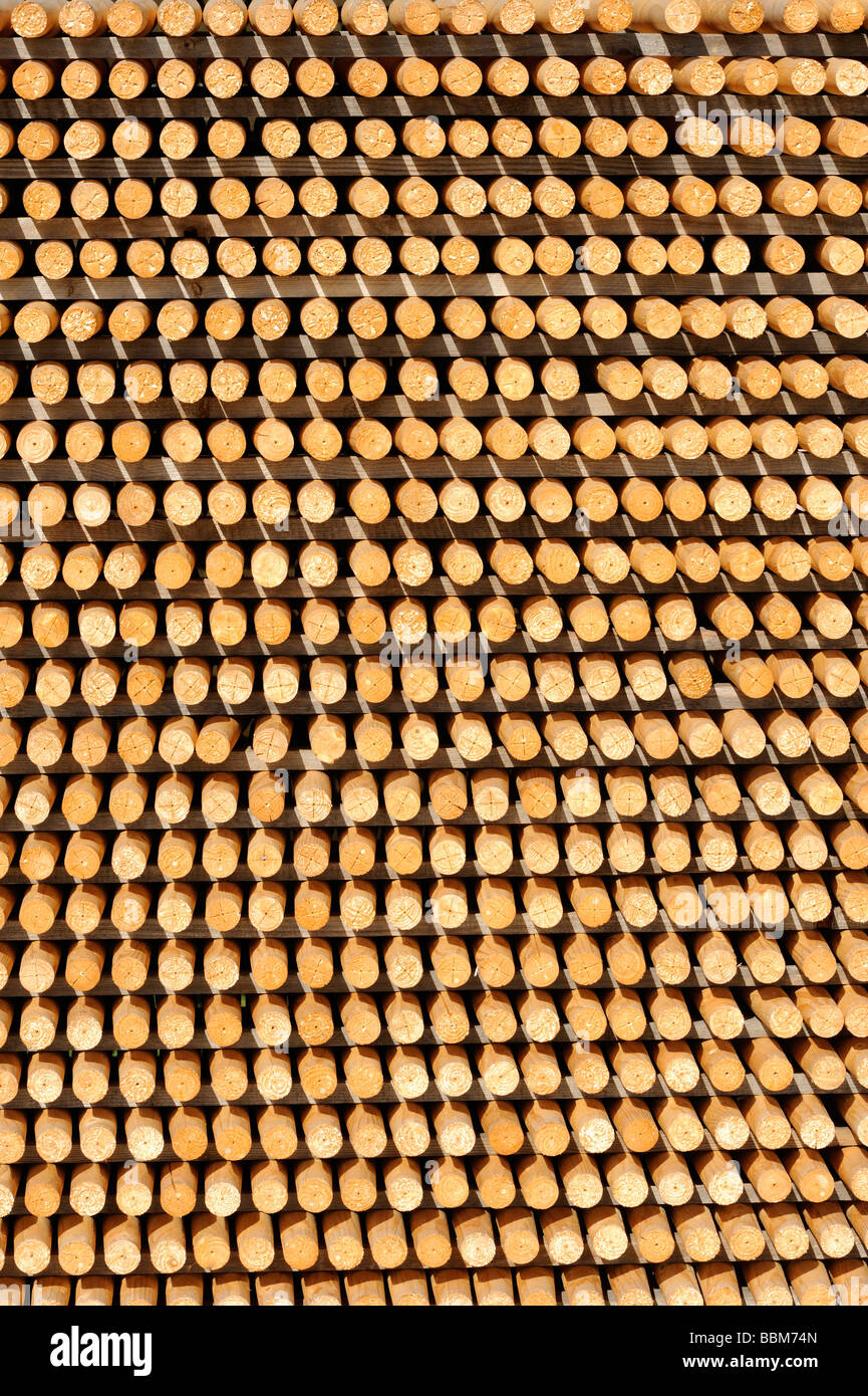 Rungs, wood stack, wooden staffs, roundwood Stock Photo