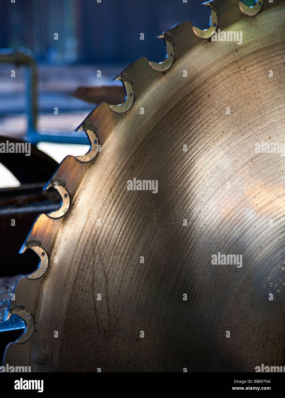Saw blade in saw mill Stock Photo Alamy