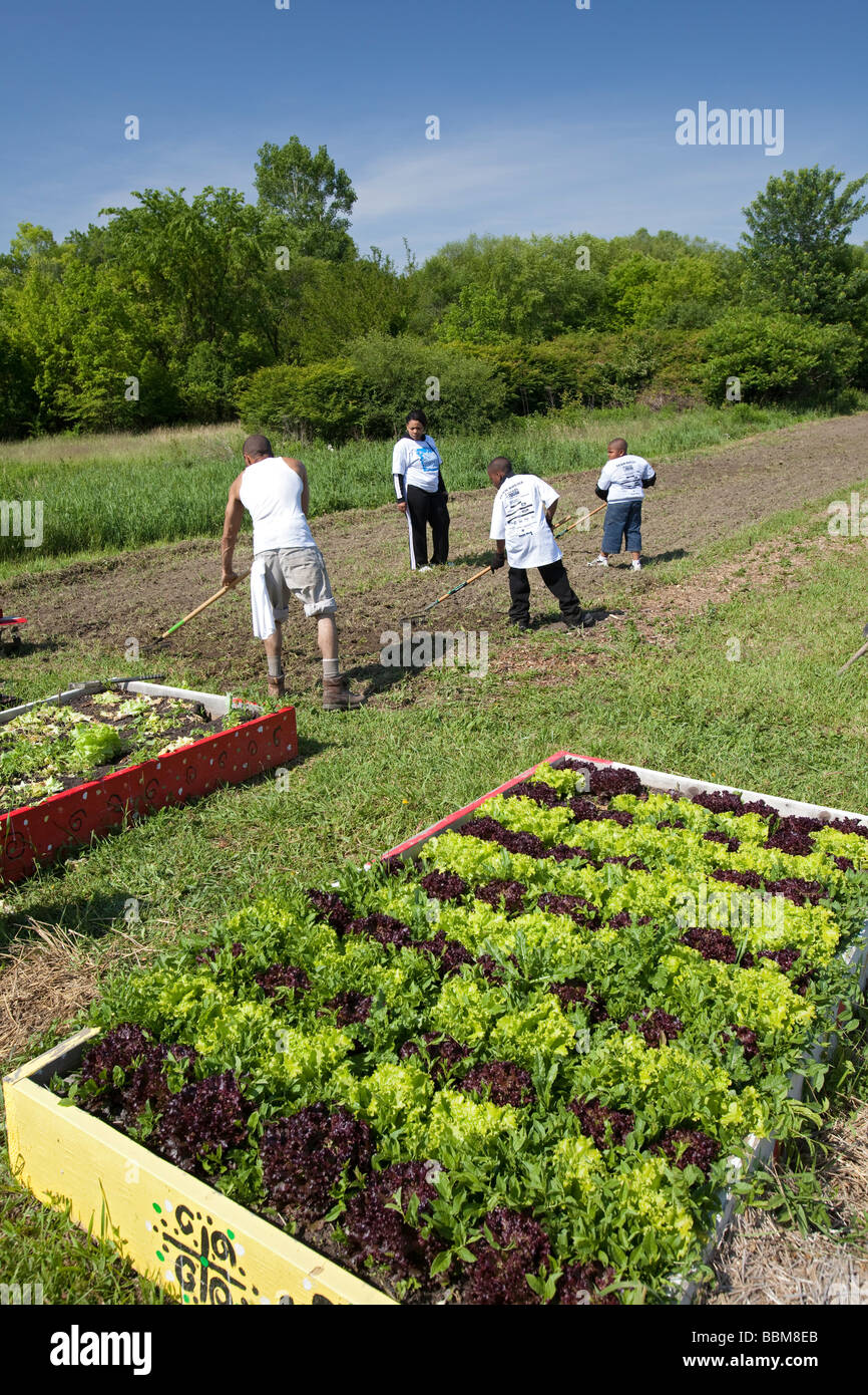 Volunteers work on urban farm in Detroit Stock Photo Alamy