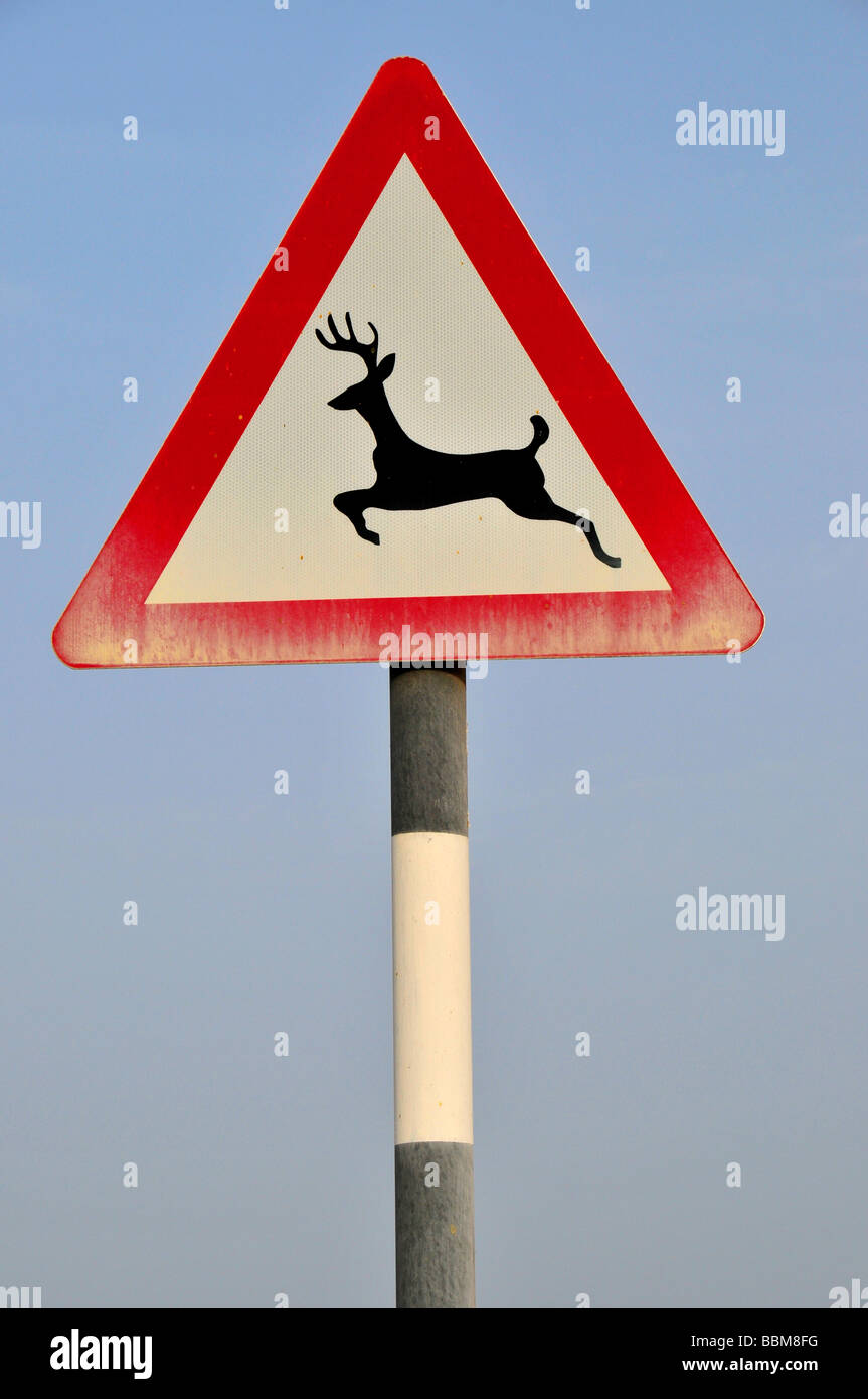 Warning sign, deer crossing, Sir Bani Yas Island, Abu Dhabi, United Arab Emirates, Arabia, Near East, Orient Stock Photo
