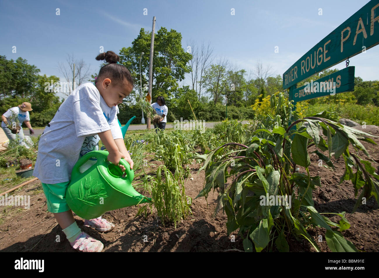 Detroit Michigan A young child waters plants planted by volunteers in Rouge Park as part of a park cleanup Stock Photo
