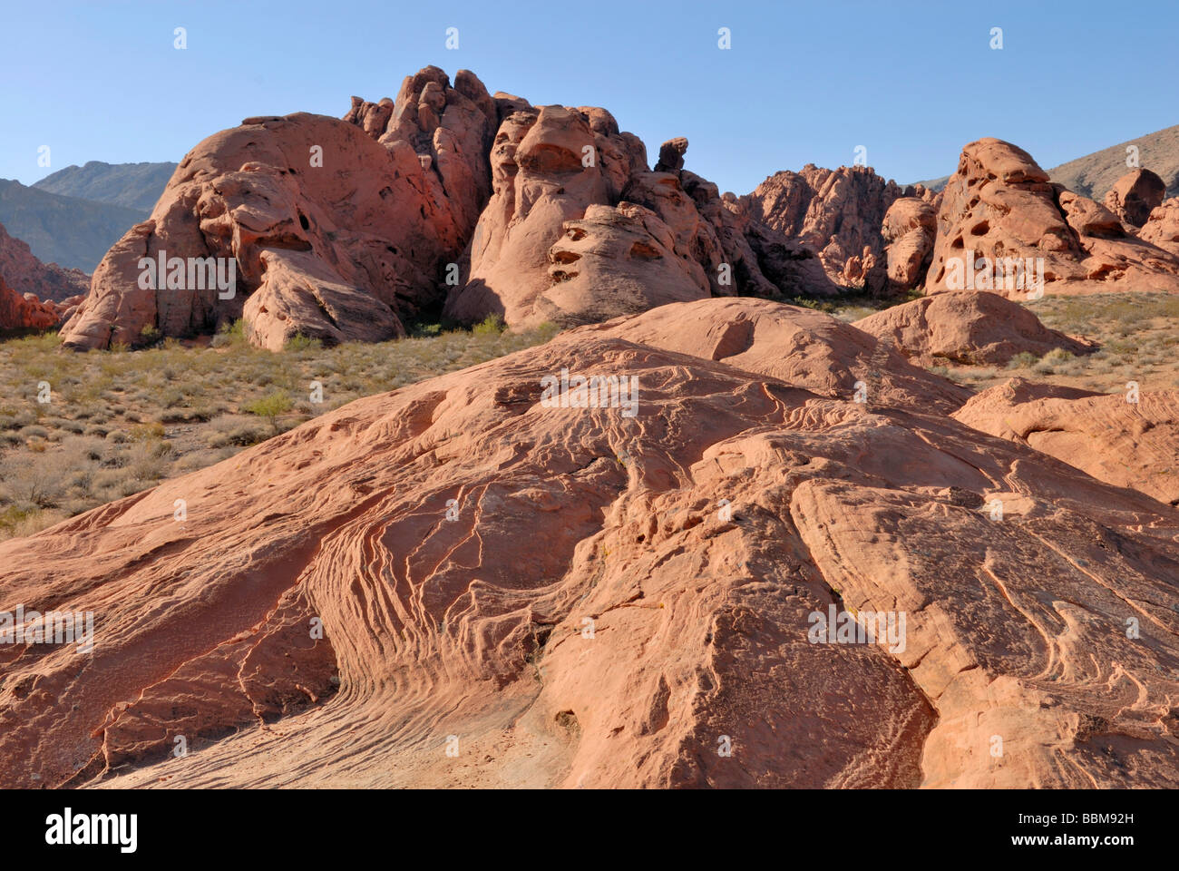 Red sandstone rock formation, Valley of Fire State Park, Nevada, USA Stock Photo