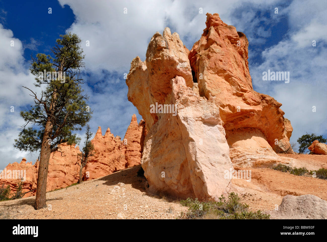 Limestone formation, Hoodoos, Bryce Canyon National Park, Utah, USA Stock Photo