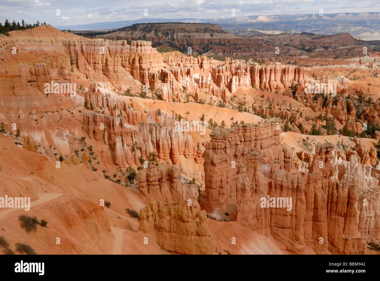 Limestone pillars, Hoodoos, Bryce Canyon National Park, Utah, USA Stock Photo