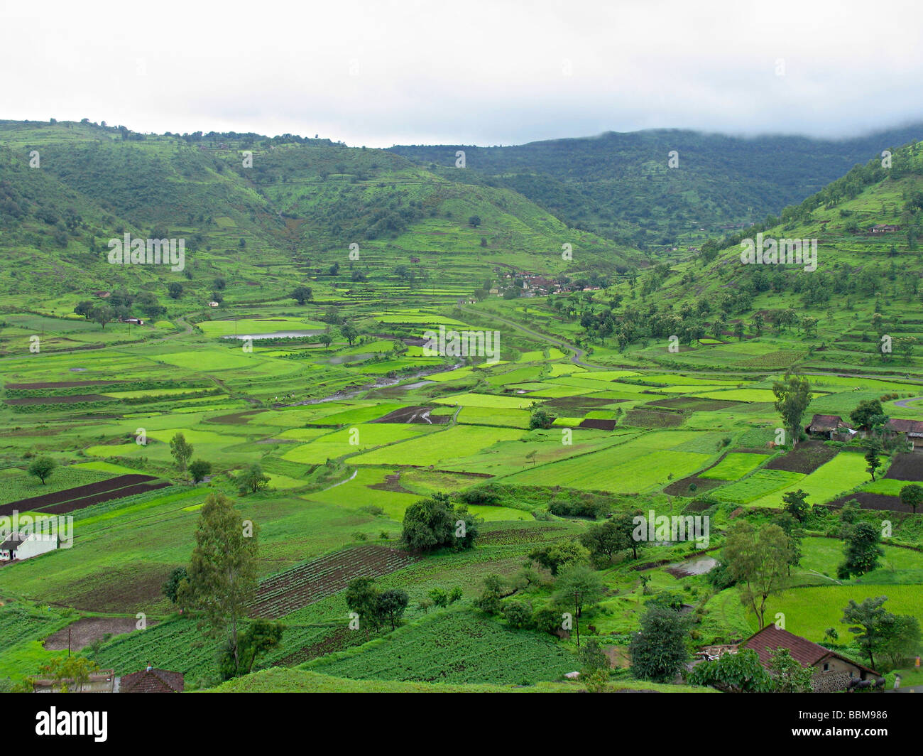 landscape, houses in the farm. village Stock Photo Alamy