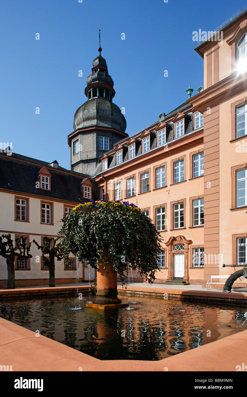 Fountain with ivy and Berleburg Castle, Bad Berleburg, district of Siegen-Wittgenstein, Rothaarsteig, North Rhine-Westphalia, G Stock Photo