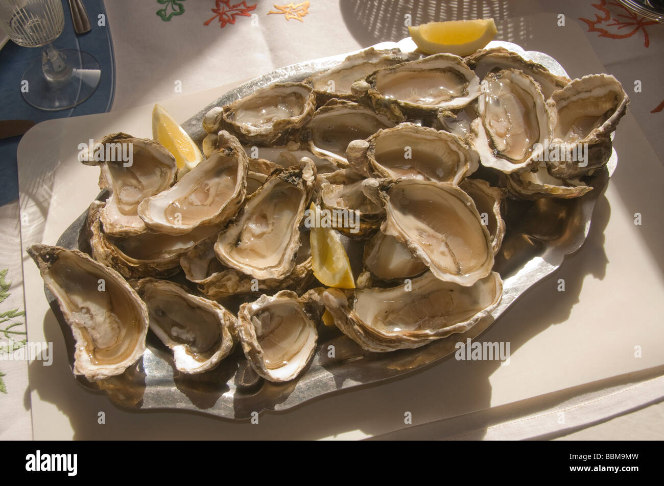 Elk204 CN32 France plate of oysters on the half shell Stock Photo