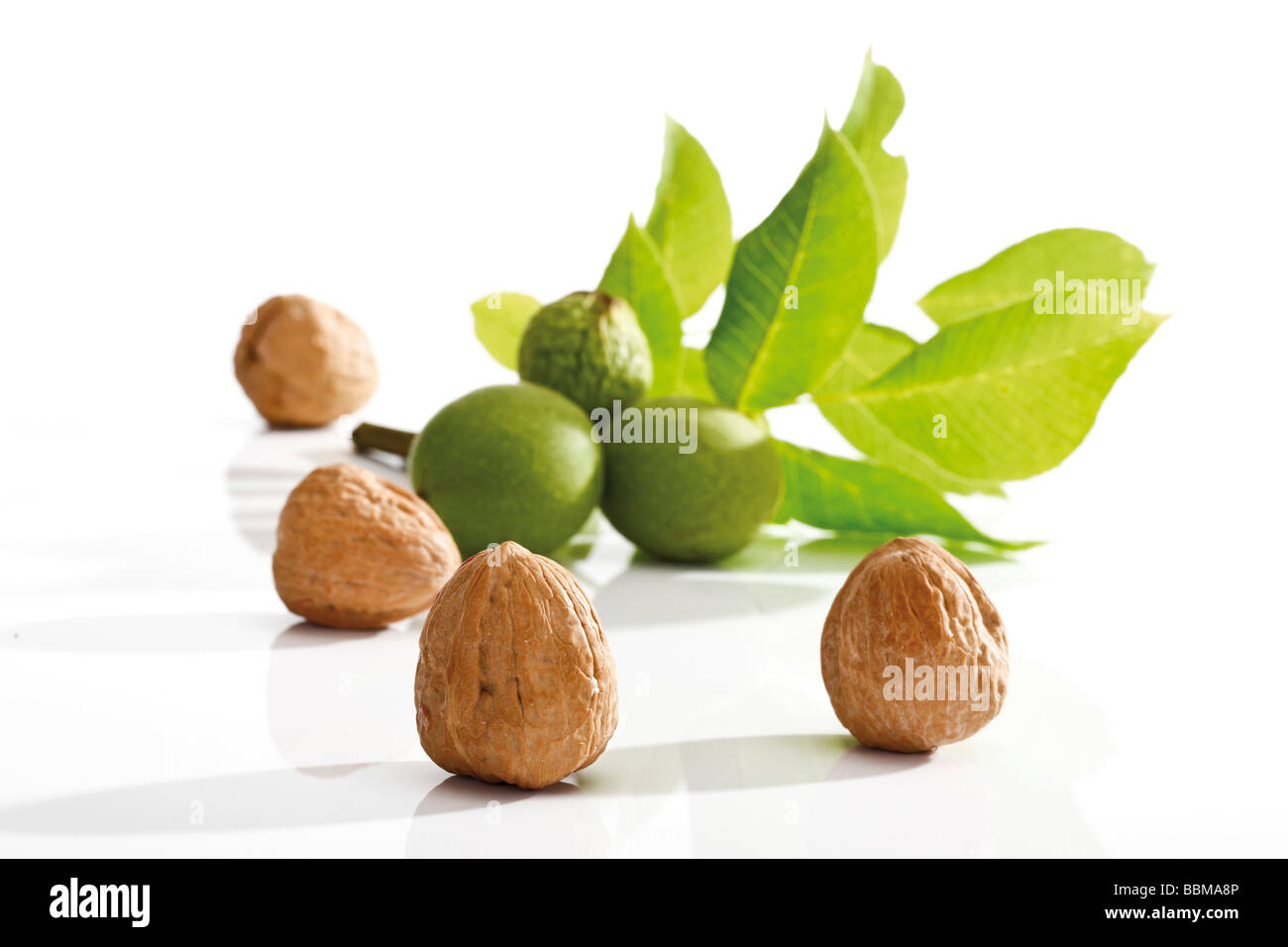 Walnuts, Walnut leaves (Juglans regia) Stock Photo