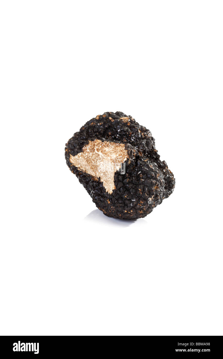 Black truffle hires stock photography and images Alamy