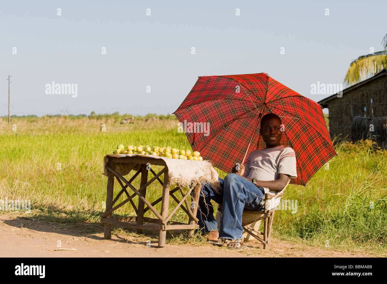 A street hawker sitting under an umbrella selling fruits Quelimane Mozambique Stock Photo