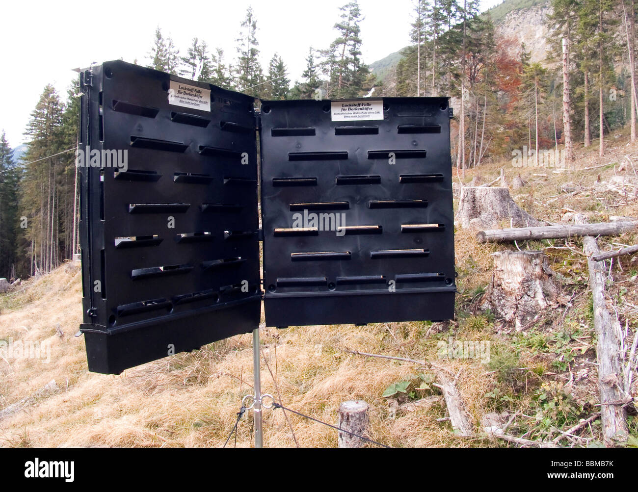 Insect trap for bark beetles, bioengineering, forest protection without toxic substances, Karwendel Range, Tyrol, Austria, Euro Stock Photo