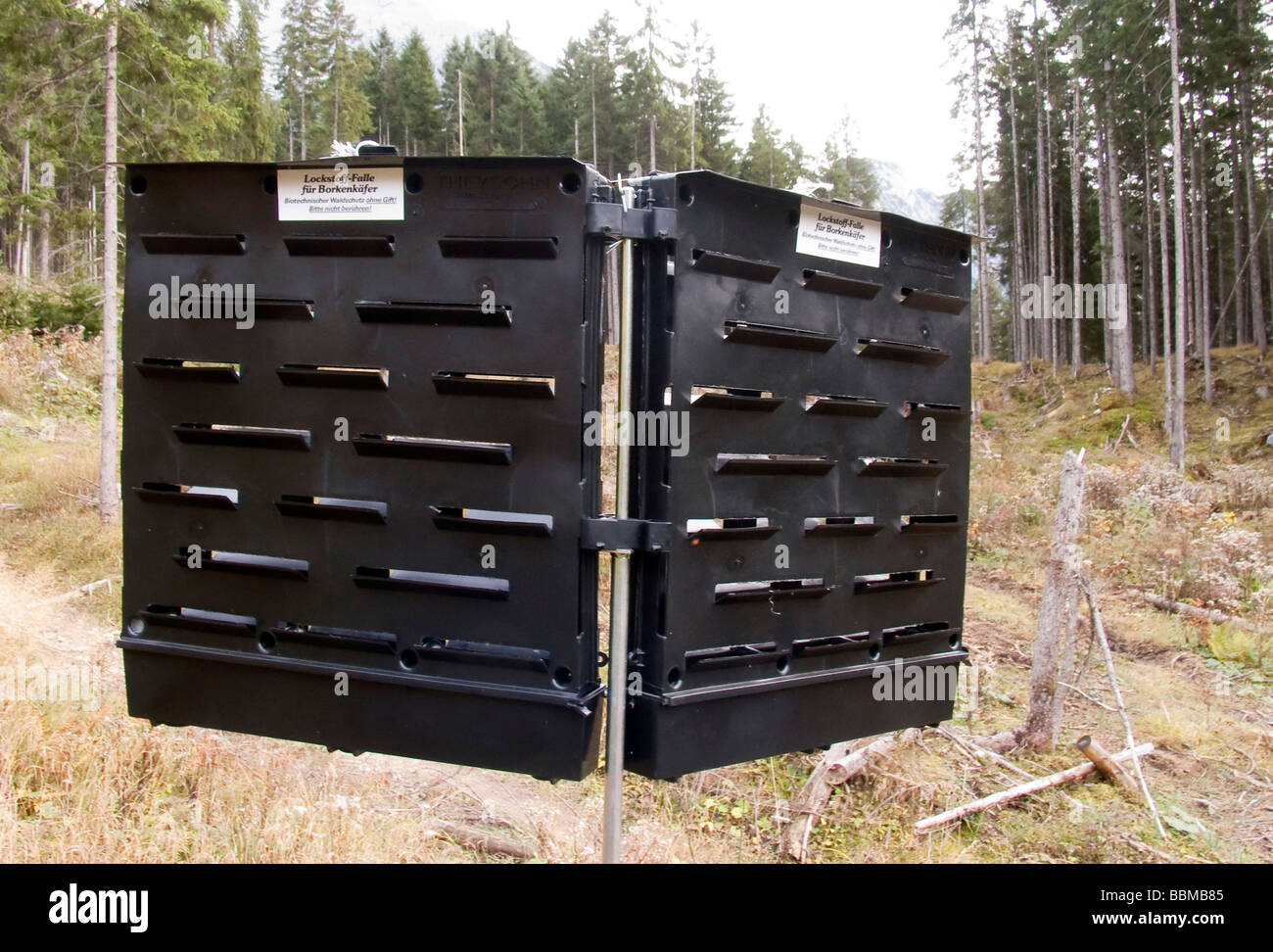 Insect trap for bark beetles, bioengineering, forest protection without toxic substances, Karwendel Range, Tyrol, Austria, Euro Stock Photo