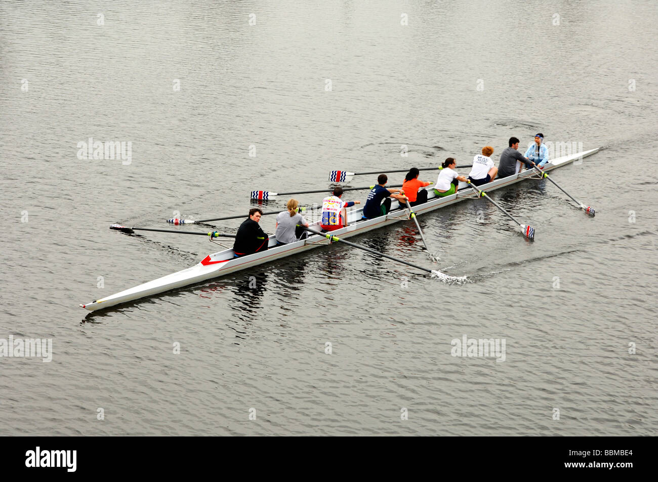 Students training in rowing eight with coxswain on the Charles River, Cambridge, Massachusetts, USA Stock Photo