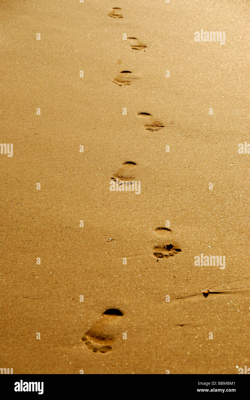 Foot prints in sand, trails in the sand, Ceylon, Sri Lanka, South Asia Stock Photo