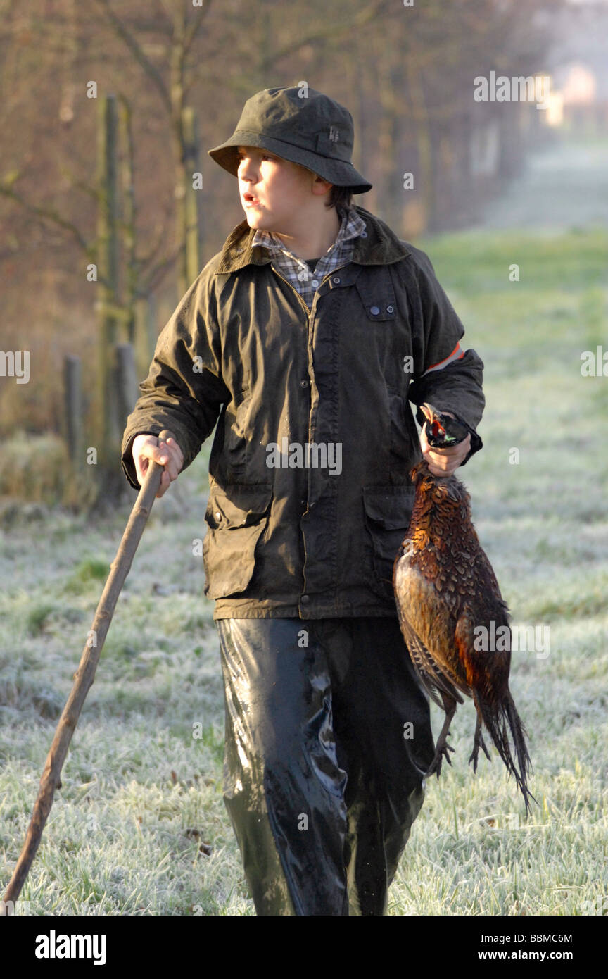 Pheasant hunting Belgium Stock Photo