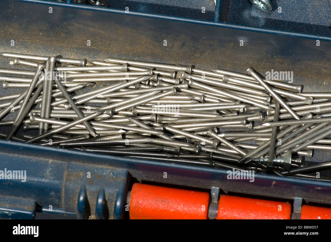 Nails In a Toolbox Compartments Stock Photo Alamy
