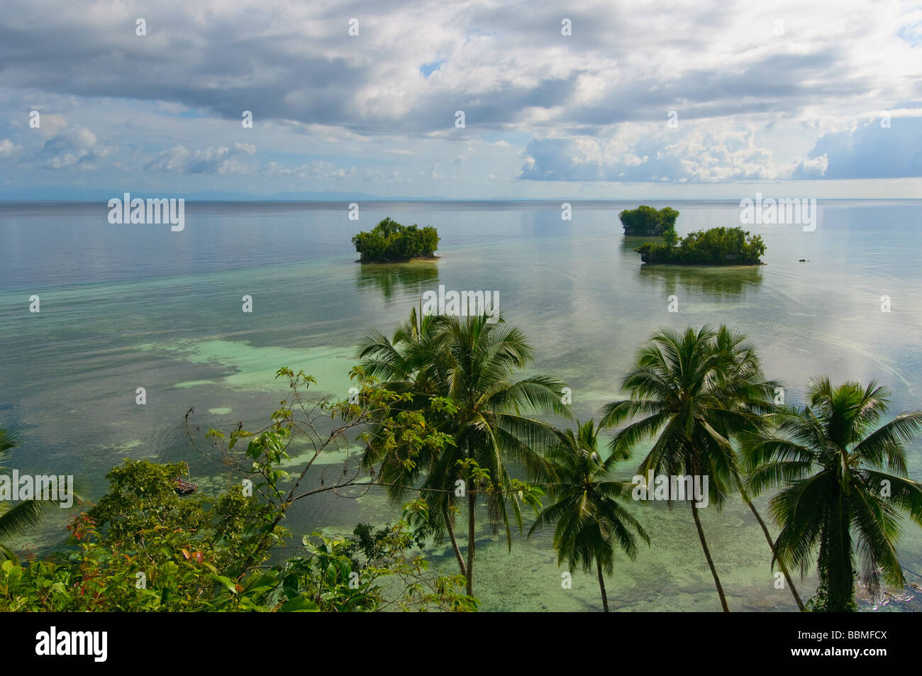 Palm trees tropical island beach hi-res stock photography and images ...