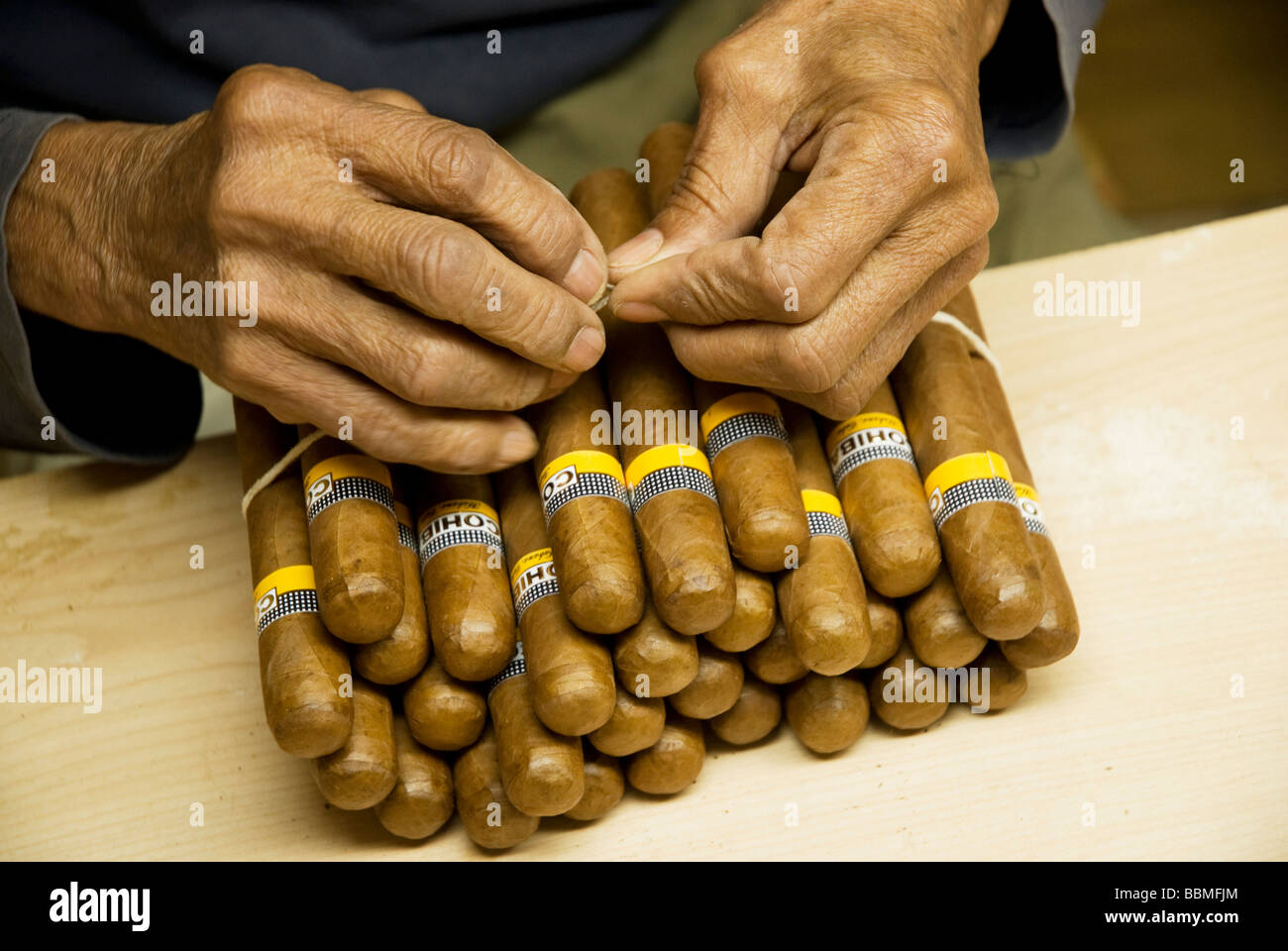 Cuba, Havana. Grading, sorting and packaging handmade cigars, The H.Upmann Cigar Factory, Havana, Cuba Stock Photo