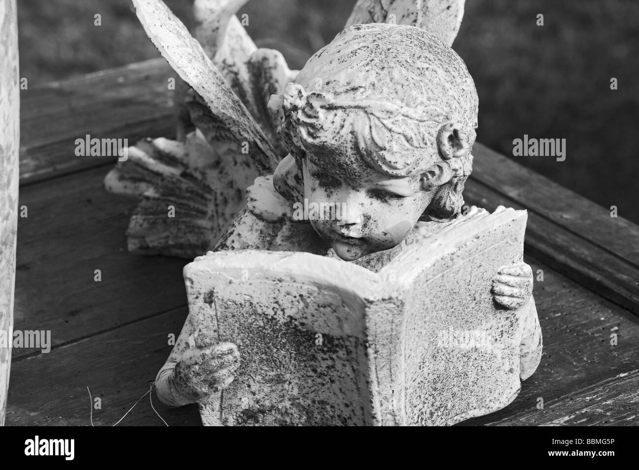 Statue reading book hires stock photography and images Alamy