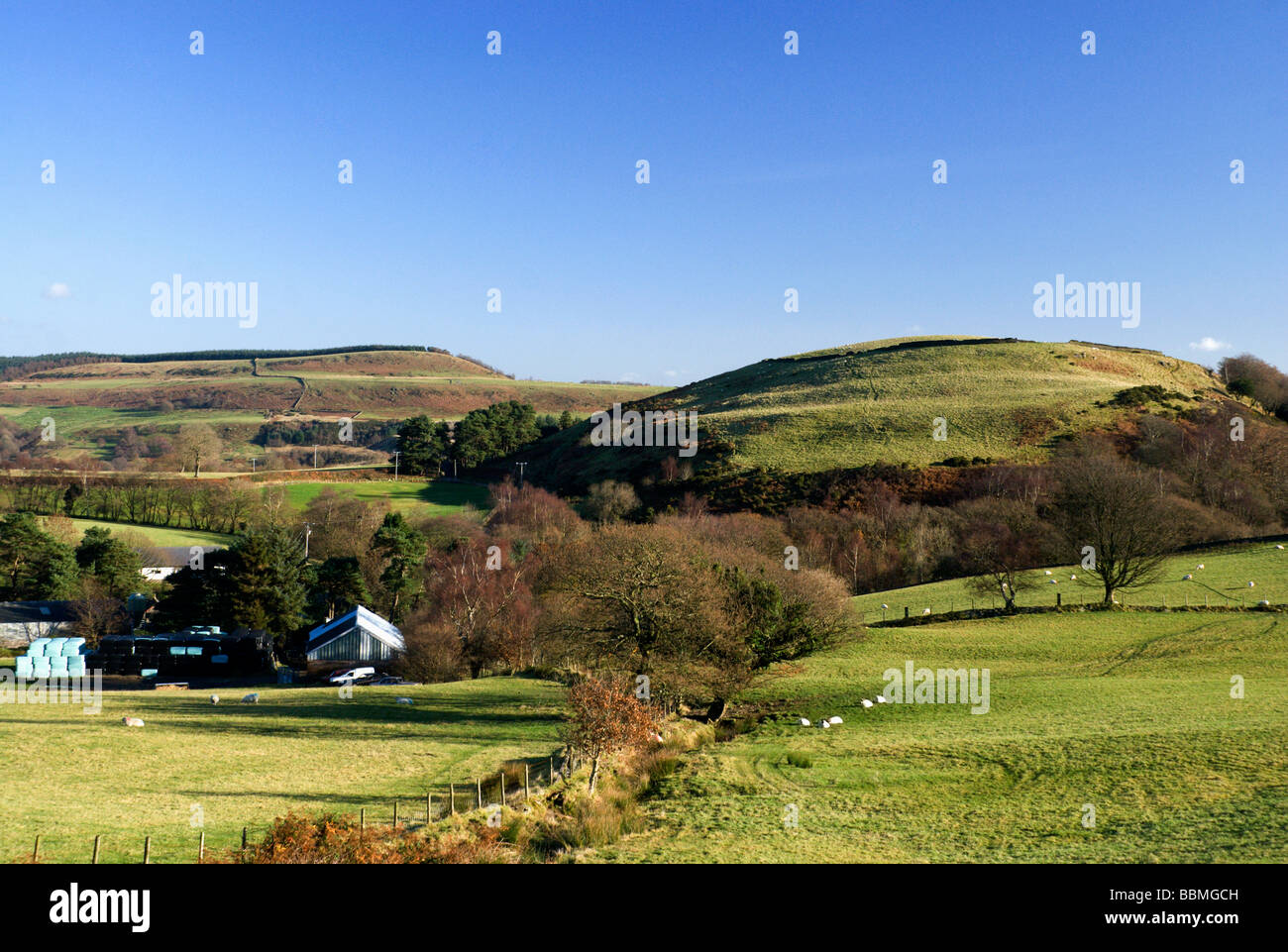 twyn y glog hill near pontypridd rhondda cycnon taff south wales Stock Photo