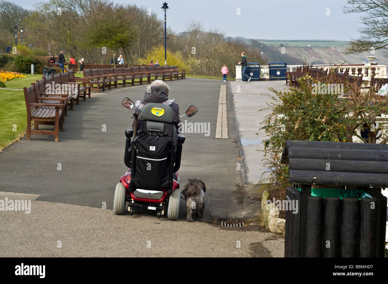 dh  FILEY NORTH YORKSHIRE Lady in wheelchair taking her dog a walk disabled scooter cart independent walking disability buggy person Stock Photo