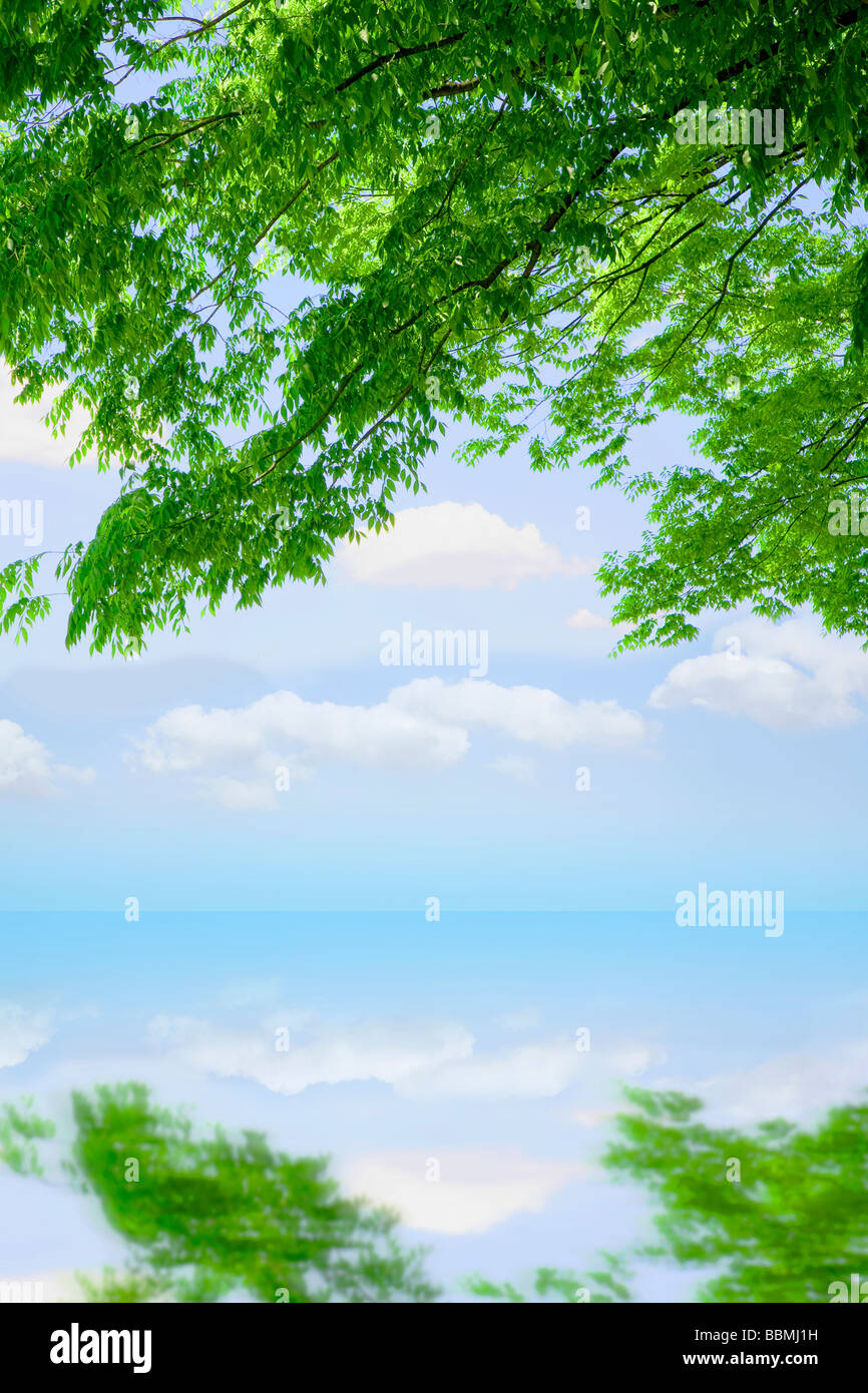 Reflection sky tree in water hi-res stock photography and images - Alamy